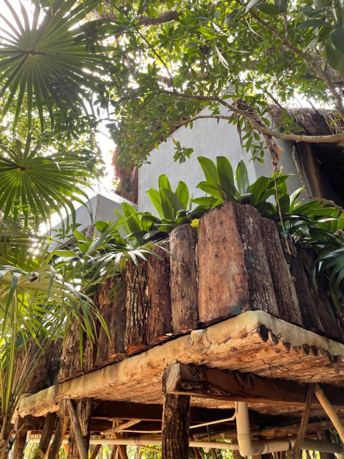 Roc Jungle Tulum Hotel Buitenkant foto